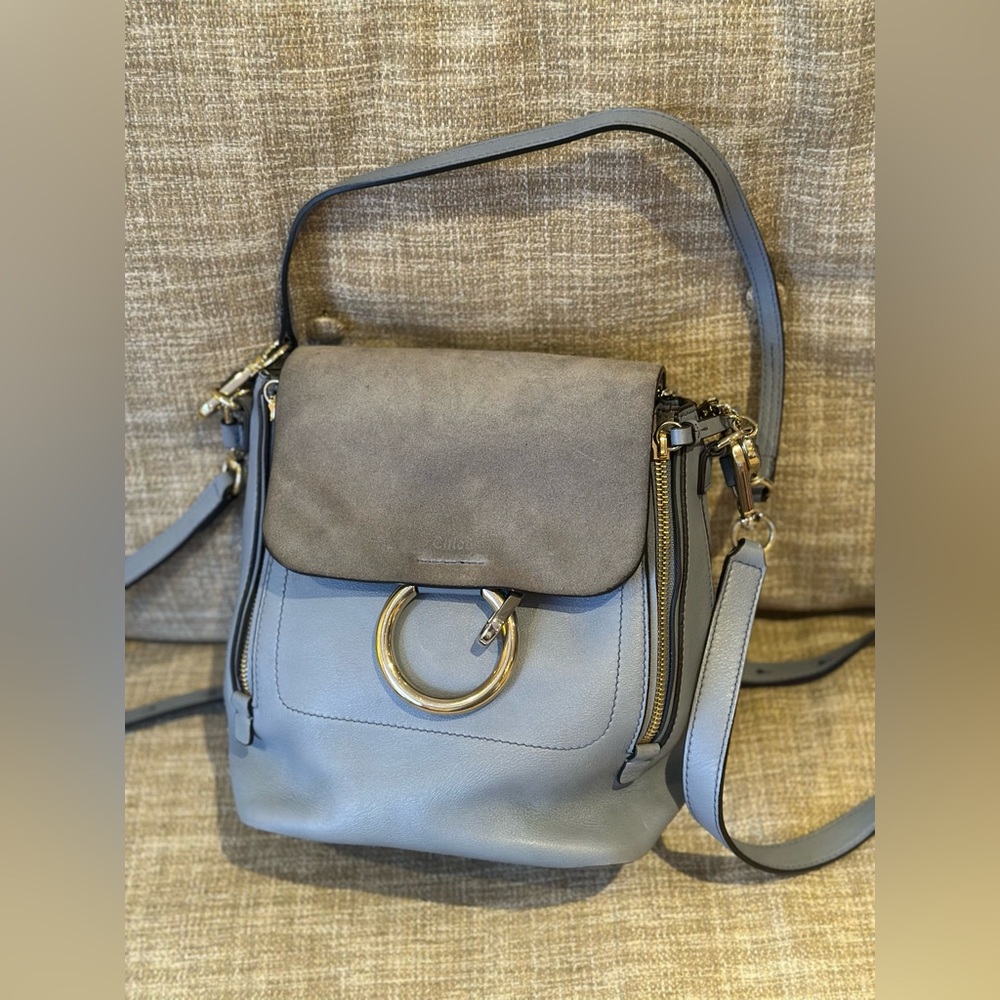 Chloe Faye Medium Gray Blue Backpack/Shoulder Bag